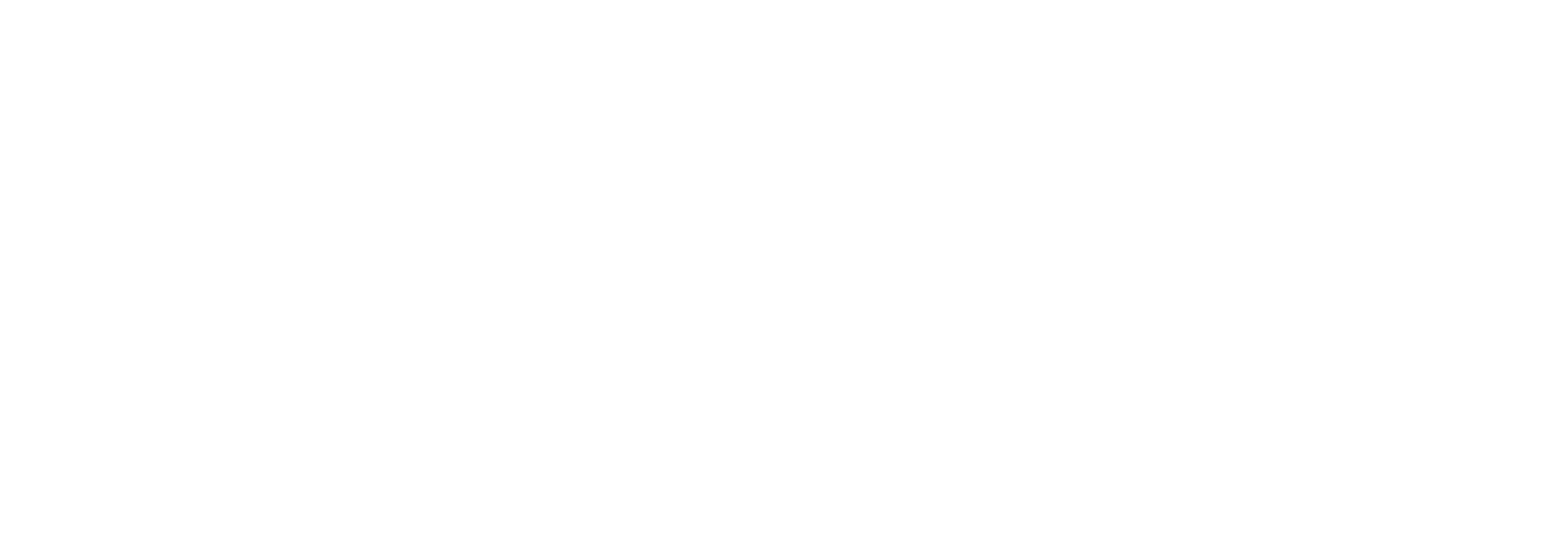 Protek Corp Logo